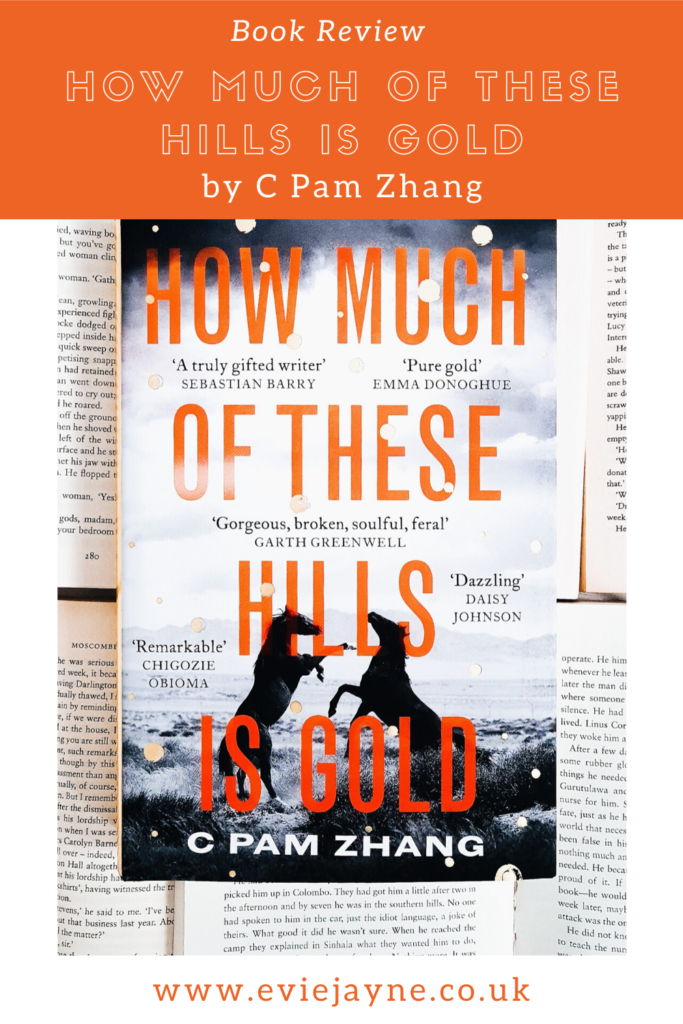 How Much of These Hills Is Gold by C Pam Zhang Book Review