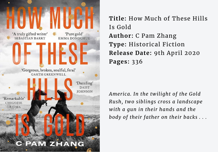How Much of These Hills Is Gold by C Pam Zhang Book Review